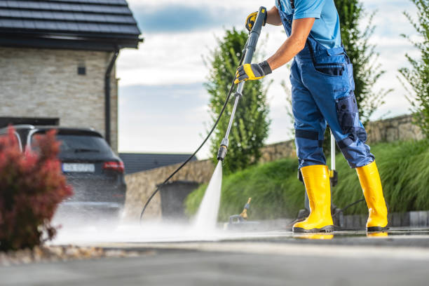 Best House Pressure Washing  in Winchester, IL